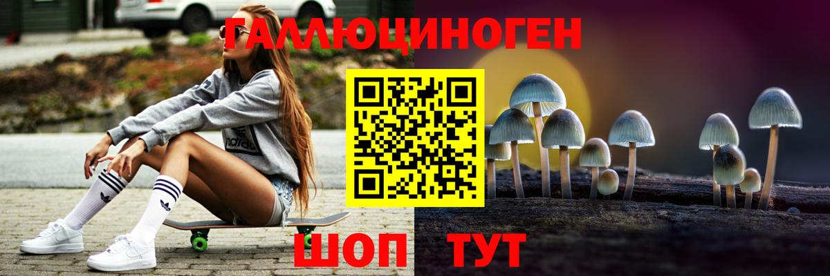 Дмитров  где найти   Вход с VPN  Псилоцибиновые грибы мицелий 