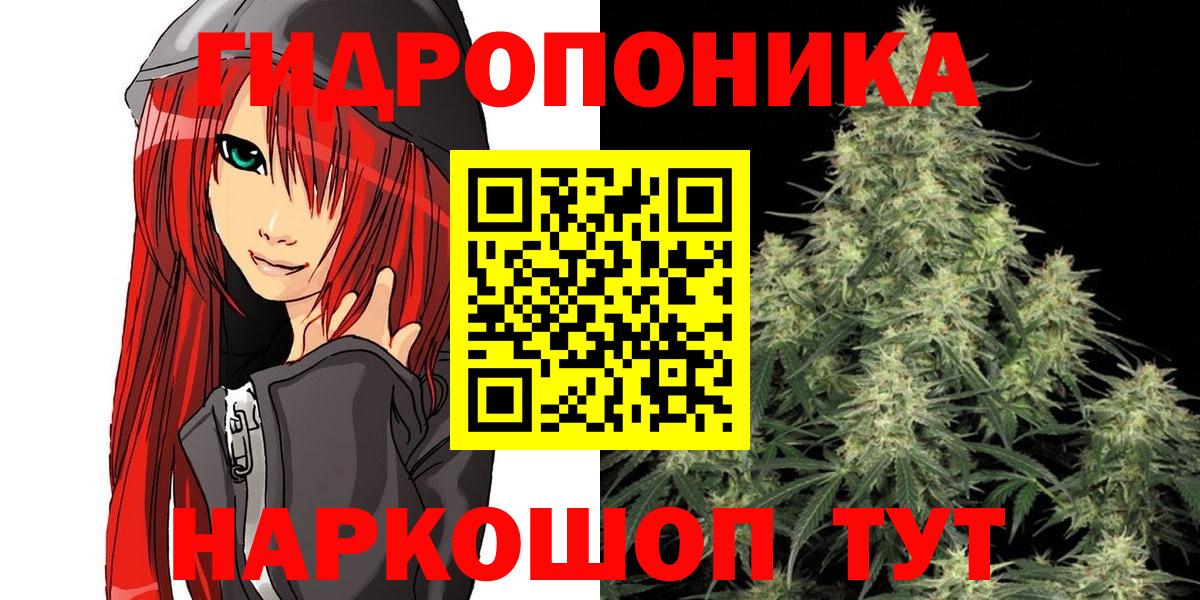 Каннабис план Дмитров